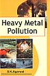 Heavy Metal Pollution /  Agarwal, S.K. 