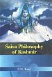 Saiva Philosophy of Kashmir /  Kaul, S.N. 