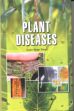 Plant Disease /  Singh, Gyan Deep 