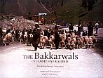The Bakkarwals of Jammu and Kashmir: Navigating Through Nomadism /  Sharma, Anita 