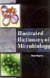 Illustrated Dictionary of Microbiology /  Kapoor, Kiran 