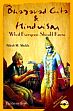 Bhagavad Gita and Hinduism: What Everyone Should Know (With CD) /  Shukla, Nilesh M. 