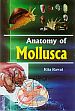 Anatomy of Mollusca /  Rawat, Rita 