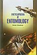 Encyclopaedia of Entomology; 3 Volumes /  Shekhar, Nitish 