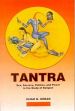Tantra: Sex, Secrecy, Politics, and Power in the Study of Religion /  Urban, Hugh B. 