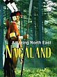 Amazing North East: Nagaland /  Devi, Aribam Indubala (Ed.)