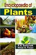 Encyclopaedia of Plants: 7 Volumes /  Sethunath, P.K. & Tiwari, Nitish K. 