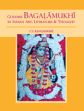 Goddess Bagalamukhi in Indian Art, Literature and Thought /  Rangaswami, C.V. 