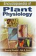Encyclopaedia of Plant Physiology; 5 Volumes /  Mandal, Swaraj & Basu, Ajit K. 
