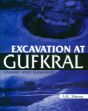 Excavation at Gufkral: Jammu and Kashmir /  Sharma, A.K. 
