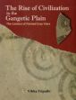 The Rise of Civilization in the Gangetic Plain: The Context of Painted Grey Ware /  Tripathi, Vibha 