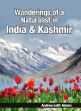 Wandering of a Naturalist in India and Kashmir /  Adams, Andrew Leith 