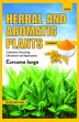 Herbal and Aromatic Plants - Curcuma longa (TURMERIC): Cultivation, Processing, Utilizations and Applications /  Panda, Himadri (Dr.)