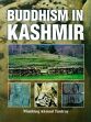 Buddhism in Kashmir /  Tantray, Mushtaq Ahmad 